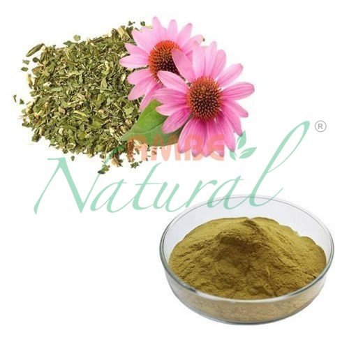 Echinacea Jadi鈥態ooti Ark Powder