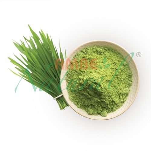 Gehun Ghaas Powder